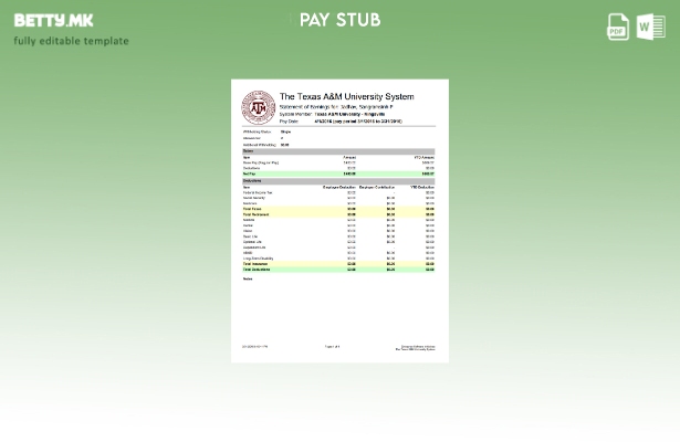 модерен стил Шаблон за изводи за заработка на Универзитетот во Тексас A&M